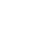 icon support